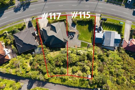 Photo of property in 115 Woodman Drive, Tawa, Wellington, 5028