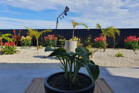 Photo of property in 258c Mount Fyffe Road, Kaikoura Flat, Kaikoura, 7300