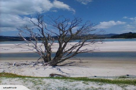 Photo of property in 12 O'farrell Drive, One Tree Point, 0118