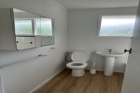 Photo of property in 109 Canongate Street, Birkdale, Auckland, 0626