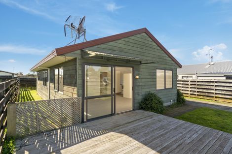 Photo of property in 12a College Place, Poike, Tauranga, 3112