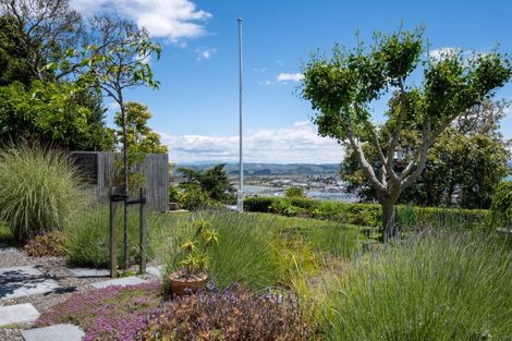 Photo of property in 8 Goldsmith Terrace, Hospital Hill, Napier, 4110