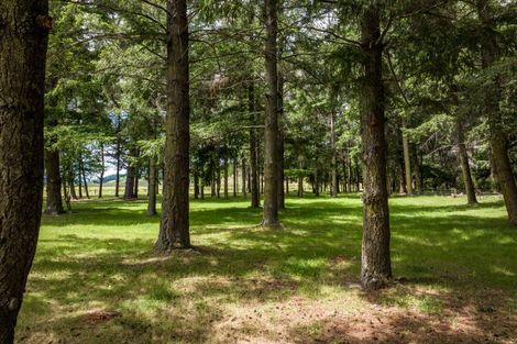 Photo of property in 2617 State Highway 63, Wairau Valley, Blenheim, 7271