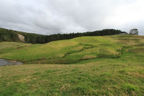 Photo of property in 388 South Road, Waipu, 0582