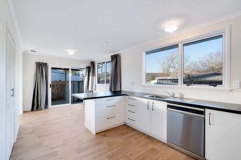 Photo of property in 60 Fitzroy Avenue, Fitzroy, Hamilton, 3206