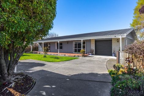 Photo of property in 9 Leefield Street, Blenheim, 7201