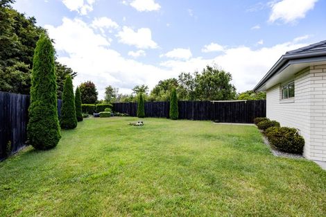 Photo of property in 16 Derwent Place, Flagstaff, Hamilton, 3210