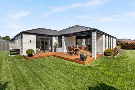 Photo of property in 50 Hunter Drive, Awatoto, Napier, 4110