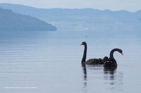 Photo of property in 587c Hamurana Road, Hamurana, 3097