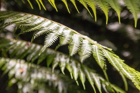 Photo of property in 72 Belk Road South, Omanawa, Tauranga, 3173