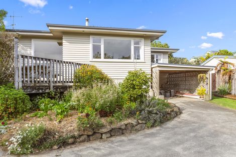 Photo of property in 10 Marine Parade, Raglan, 3225