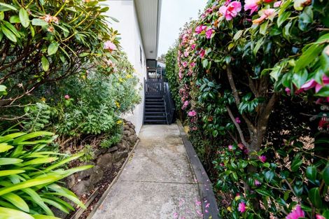 Photo of property in 162 Somerville Street, Waverley, Dunedin, 9013