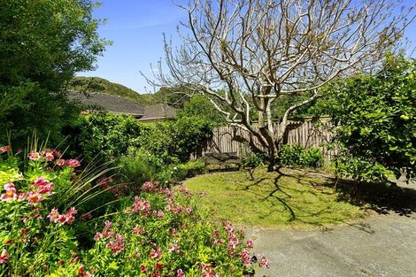 Photo of property in 47 Pukatea Street, Eastbourne, Lower Hutt, 5013