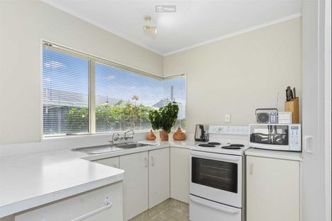 Photo of property in 12b Hayes Avenue, Gate Pa, Tauranga, 3112