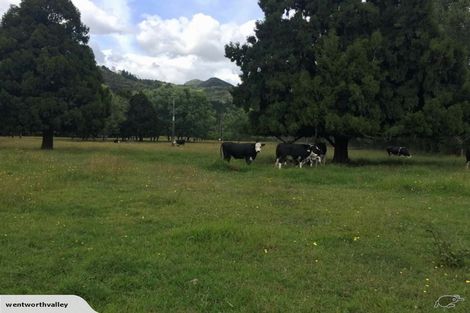 Photo of property in 393 Wentworth Valley Road, Whangamata, 3691