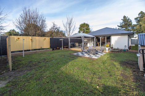 Photo of property in 41 Ascot Avenue, North New Brighton, Christchurch, 8083