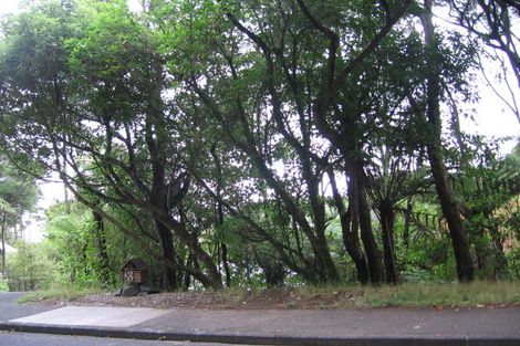 Photo of property in 73 Wood Bay Road, Titirangi, Auckland, 0604