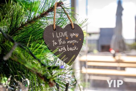 Photo of property in 29 Cedarwood Street, Woodridge, Wellington, 6037