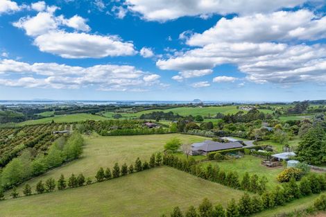Photo of property in 71c Laurel Drive, Whakamarama, Tauranga, 3179