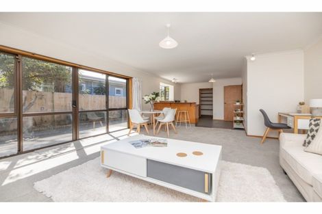 Photo of property in 160a Petrie Street, Richmond, Christchurch, 8013