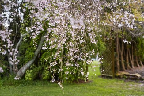 Photo of property in 181 Rosebanks Drive, Tamahere, Hamilton, 3283