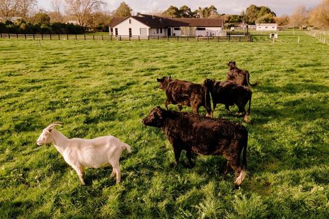 Photo of property in 98 Tamahere Drive, Tamahere, Hamilton, 3283