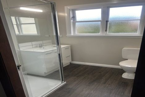 Photo of property in 141 Chapman Street, Wakari, Dunedin, 9010