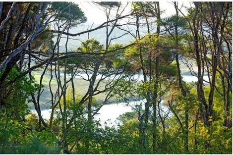 Photo of property in 5 Ti Tree Lane, Stanmore Bay, Whangaparaoa, 0932