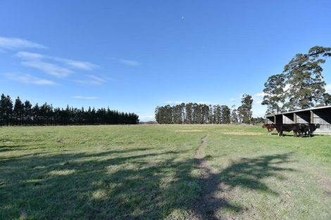 Photo of property in 144 Revells Road, Flaxton, Rangiora, 7691