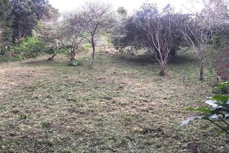 Photo of property in 120 Renown Road, Raumati South, Paraparaumu, 5032