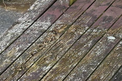 Photo of property in 17 Harold Avenue, Kaikohe, 0405