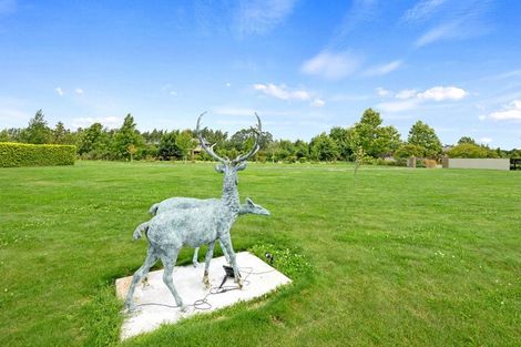 Photo of property in 47 Orchard Place, Clarkville, Kaiapoi, 7691