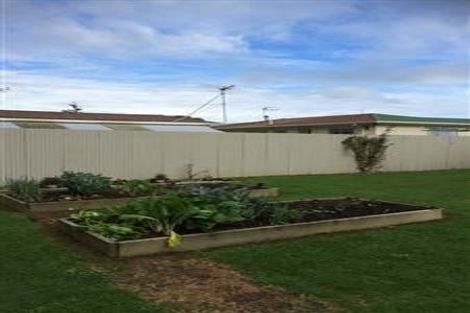 Photo of property in 19 Strathmore Avenue, Levin, 5510