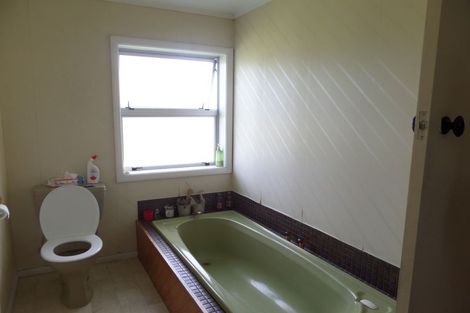 Photo of property in 480 Te Hoe Road, Te Hoe, Taupiri, 3792