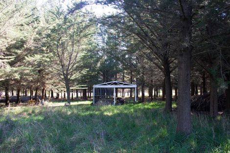 Photo of property in 37 Pesters Road, Eyrewell, Rangiora, 7476