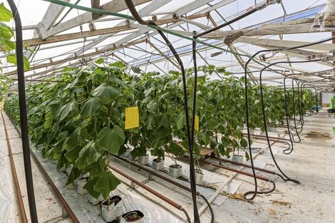 Photo of property in 386 Drury Hills Road, Drury, 2577