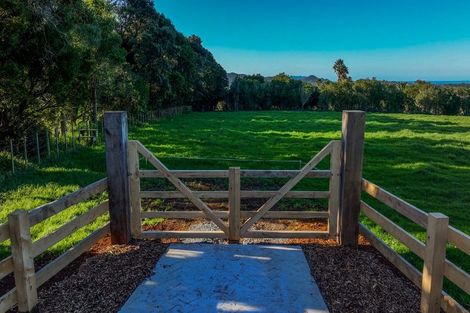 Photo of property in 404 Tara Road, Mangawhai, Kaiwaka, 0573