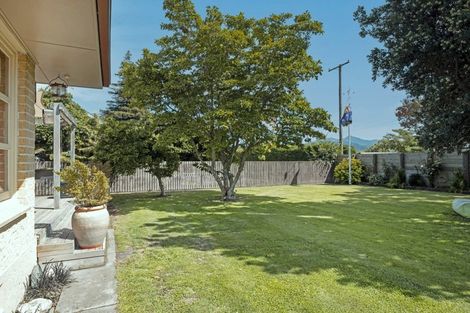 Photo of property in 19 High Street, Renwick, 7204