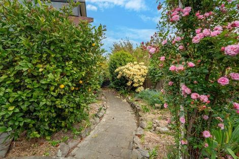 Photo of property in 5a June Street, Highfield, Timaru, 7910