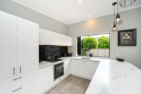 Photo of property in 30a Alfred Street, Roslyn, Palmerston North, 4414