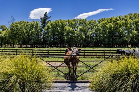Photo of property in 78 Skewbridge Road, Flaxton, Kaiapoi, 7691
