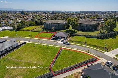 Photo of property in 11 Omanga Way, Bethlehem, 3110