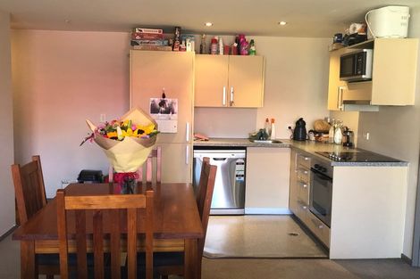 Photo of property in Dual Apartments, 410/142 Vivian Street, Te Aro, Wellington, 6011
