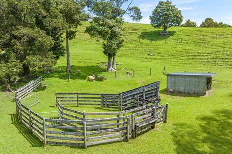 Photo of property in 269 Tomarata Valley Road, Wellsford, 0974