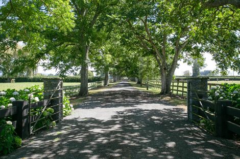 Photo of property in Taihoa Road South, Matamata, 3473