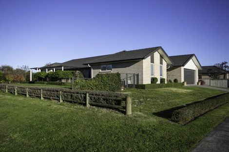 Photo of property in 12 O'sullivan Drive, Matamata, 3400