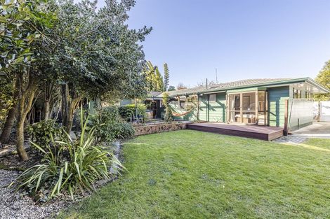 Photo of property in 38 Carter Crescent, Awapuni, Palmerston North, 4412