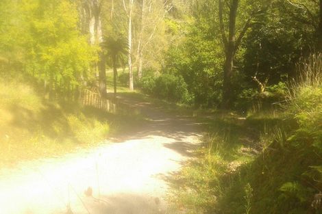 Photo of property in 116 Tauwharenikau Road, Tututawa, Stratford, 4392