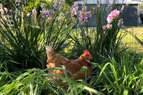 Photo of property in 5 Tapapa Road, Tapapa, Tirau, 3485