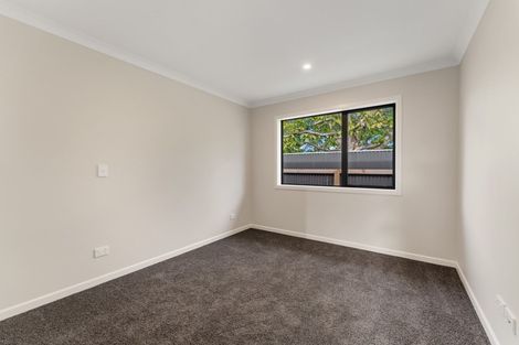 Photo of property in 117a Queen Street West, Levin, 5510